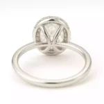 oval_halo (1)