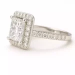prin_halo_side (1)