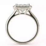 prin_halo_side (1)
