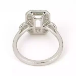 rad_halo_side (1)