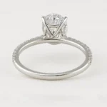 oval-ring (1)