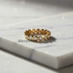 SJ1306-1