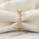 SJ1346